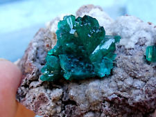 Amas cristaux dioptase d'occasion  Lagnieu