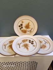 Lovely set denby for sale  LITTLEHAMPTON