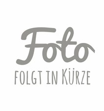 Degussa konator frästisch gebraucht kaufen  Deutschland