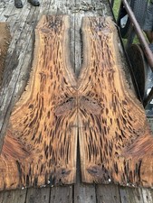 Premium pecky sinker for sale  Raceland