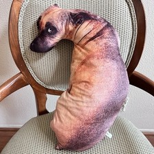 Printed throw pillow for sale  Lake Forest
