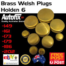 Kit plugue núcleo congelador galês latão Welch Holden 6 motor vermelho 149 161 179 186 202 comprar usado  Enviando para Brazil