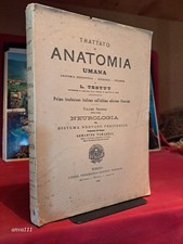 Trattato anatomia umana usato  Roe Volciano