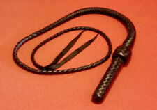 Kanadische bullwhip gegend gebraucht kaufen  Spiesen-Elversberg