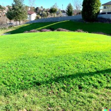 5000 micro clover for sale  Linwood