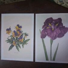 Lotto stampe fiori usato  Cefalu