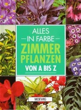Zimmerpflanzen gebraucht kaufen  Berlin