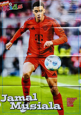 Xxxl poster jamal gebraucht kaufen  Emsdetten