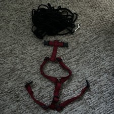 Hunde geschirr rot gebraucht kaufen Hunde geschirr rot gebraucht kaufen  Handewitt