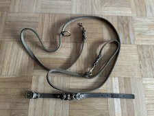 Set hundeleine halsband gebraucht kaufen  Singen (Hohentwiel)