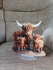 highland cow for sale highland cow for sale NOTTINGHAM