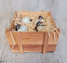 Ducklings hatching eggs for sale  STOURPORT-ON-SEVERN