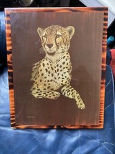 Leopard cheetah cat for sale  Lynn
