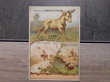 Chromos chocolat reboussin d'occasion  Avesnes-le-Comte