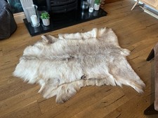 Luxurious large reindeer for sale  BEXLEYHEATH