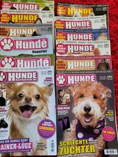Hunde reporter magazin gebraucht kaufen  Wieden