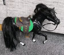 Black grand champion for sale  ILKLEY