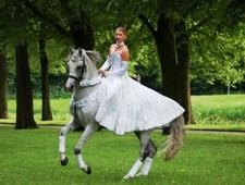 Reitkleid shows engel gebraucht kaufen  Ehra-Lessien