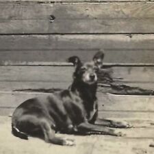 Vintage snapshot photo for sale  Riverside