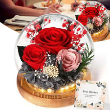Konservierte rose glas gebraucht kaufen  Frankfurt (Oder)