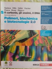 Carbonio gli enzimi usato  Roma