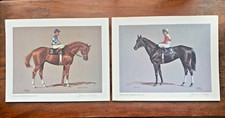 ruffian for sale ruffian for sale Amagansett