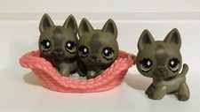 Lps brown german for sale  Tampa