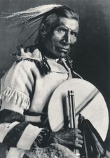 hawk feathers for sale hawk feathers for sale Victor
