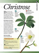 Christrose kräuterinfokarte gebraucht kaufen  Berlin