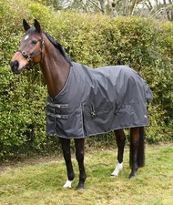 Rhinegold nevada lightweight for sale  CHATTERIS