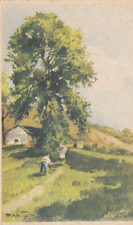 Cartolina tematica paesaggio usato  Bologna
