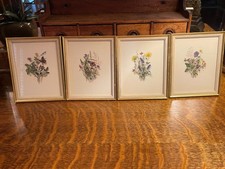 Botanical flower prints for sale  Fort Myers