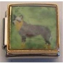 Cattle dog painted for sale  Huntington Station