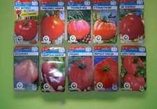 Tomaten samen tomaten gebraucht kaufen  Wolgast