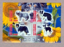 Dog sheepdog border d'occasion  Expédié en Belgium