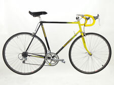 Panasonic DX 3000 Roadbike Rennrad Size 59cm Sport LX Group Refurbished, usado comprar usado  Enviando para Brazil