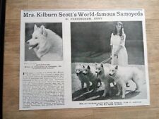 Antique samoyed photo for sale  Shipping to Ireland