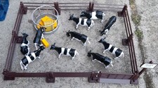 Britains plastic cows for sale  CHARD