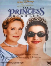 Pretty princess dvd usato  Perugia
