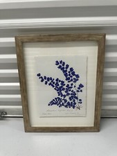 Framed botanical print for sale  Tampa