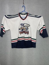 Grand rapids griffins for sale  Grandville