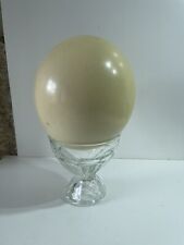 Ancien oeuf autruche d'occasion  Saint-Georges-de-Reneins