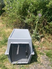 Pet dog carrier for sale  BROADSTAIRS