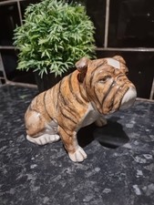 Rare goldscheider brindle for sale  UPMINSTER