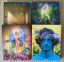 David lachapelle lost gebraucht kaufen  Stuttgart
