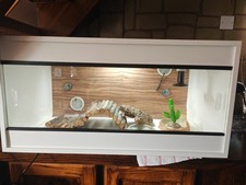 White vivarium used for sale  HULL