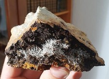 Cérusite lescure mayres d'occasion  Expédié en Belgium