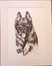 Deutscher schäferhund portrai gebraucht kaufen  Kaufbeuren
