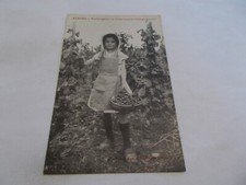 Beaune cote vendangeuse d'occasion  Vittel