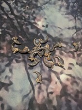 Racoon claws taxidermy for sale  SALISBURY